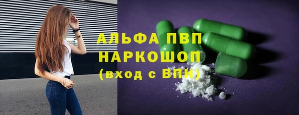сатива Ростов