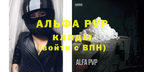 сатива Ростов