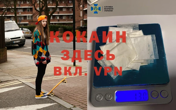 сатива Ростов