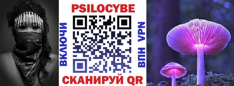 Галлюциногенные грибы Psilocybe  Новокубанск 